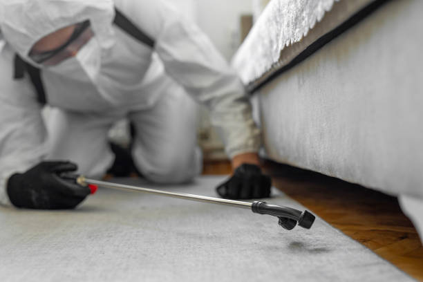 Professional Bed Bug Control technician working in Worcester County County, MA
